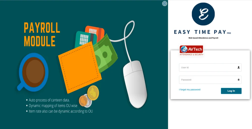 Web payroll software